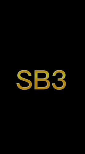 SB3٭ŞERW么N